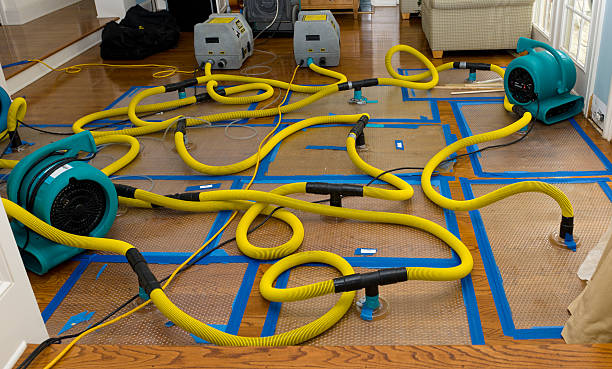 Professional Crawl Space Water Removal technician working in Pursglove, WV